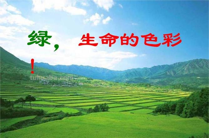 绿 生命的色彩及绿生命的颜色 