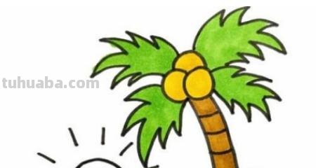 简笔画的椰子怎么画 画椰子树的简笔画？