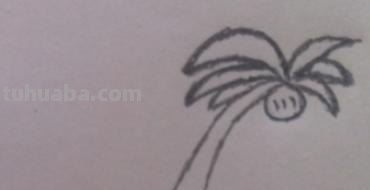 简笔画的椰子怎么画 画椰子树的简笔画？
