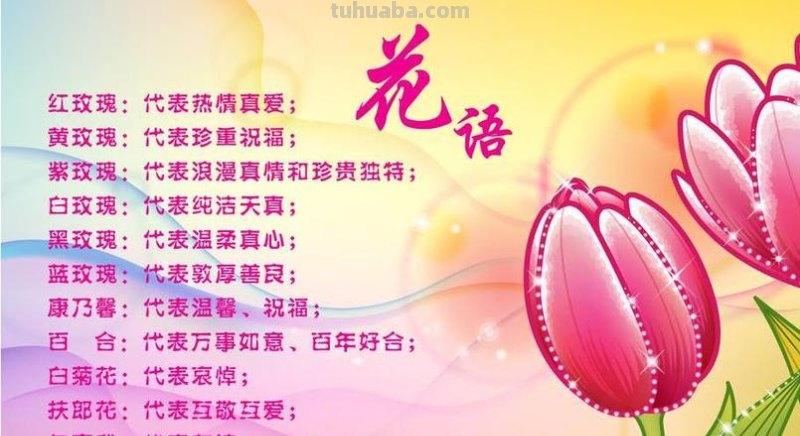 10种不同花朵的常见花语