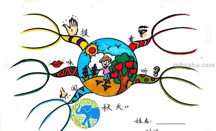 秋天的思维导图图怎么画 如何画思维导图?