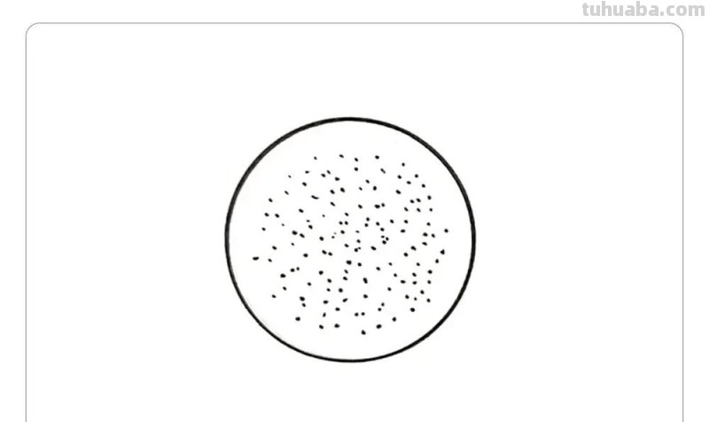 圆形画可爱的水果简笔画，你喜欢哪种呢？你还能画出更多吗？