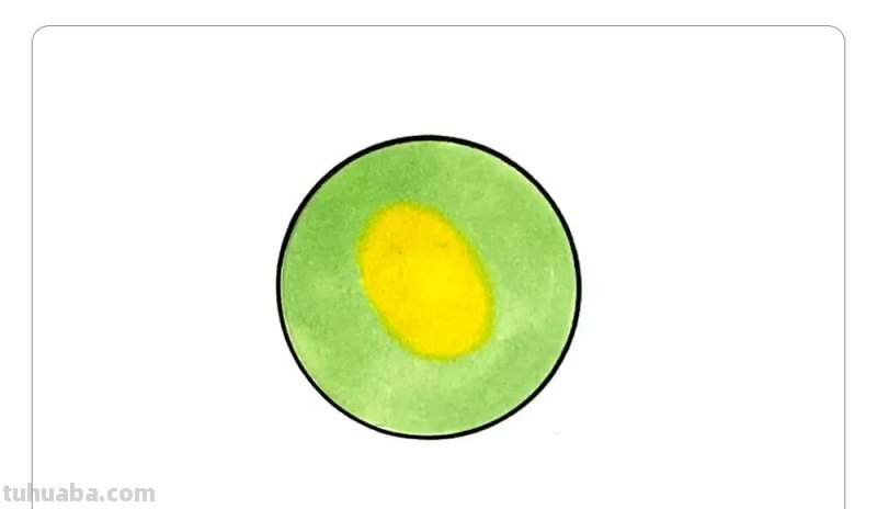 圆形画可爱的水果简笔画，你喜欢哪种呢？你还能画出更多吗？