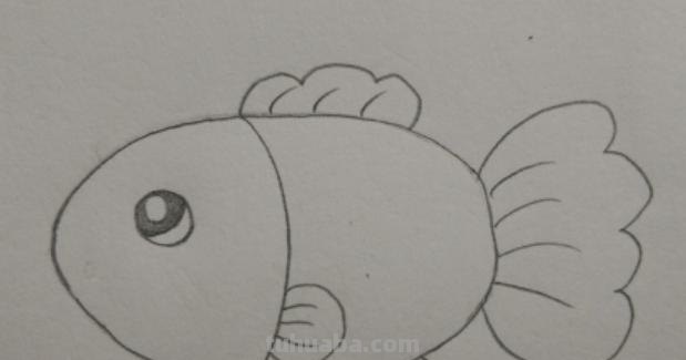 鱼怎么画用彩铅画的 简笔画——怎么画水中的鱼儿？