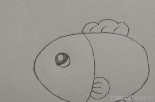 鱼怎么画用彩铅画的 简笔画——怎么画水中的鱼儿？