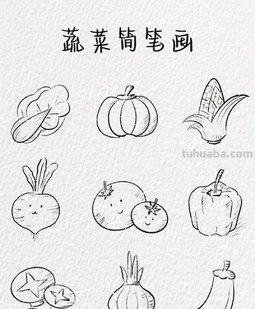 简笔画水果蔬菜教程，儿童绘画素材