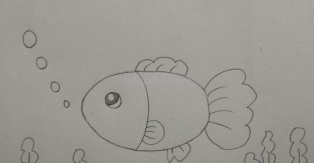 鱼怎么画用彩铅画的 简笔画——怎么画水中的鱼儿？