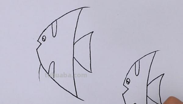 鱼怎么画用彩铅画的 简笔画——怎么画水中的鱼儿？