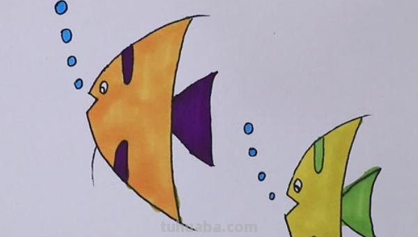 鱼怎么画用彩铅画的 简笔画——怎么画水中的鱼儿？