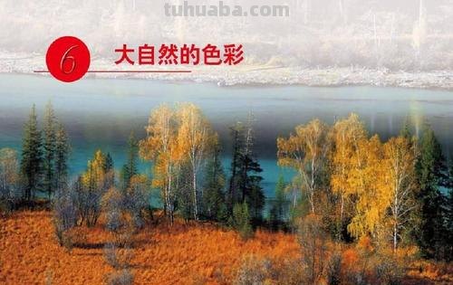 大自然的色彩语言:金黄的阳光下一片美妙的新绿