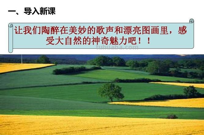 大自然的色彩语言:金黄的阳光下一片美妙的新绿