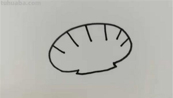 贝壳的简笔画怎么画 简笔画-怎么画贝壳？