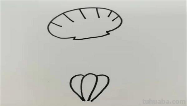 贝壳的简笔画怎么画 简笔画-怎么画贝壳？