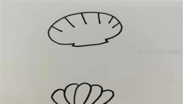 贝壳的简笔画怎么画 简笔画-怎么画贝壳？