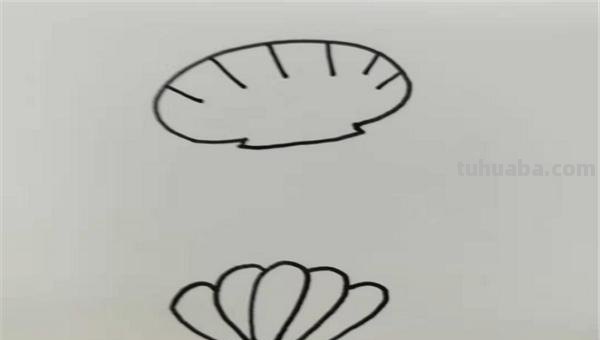 贝壳的简笔画怎么画 简笔画-怎么画贝壳？