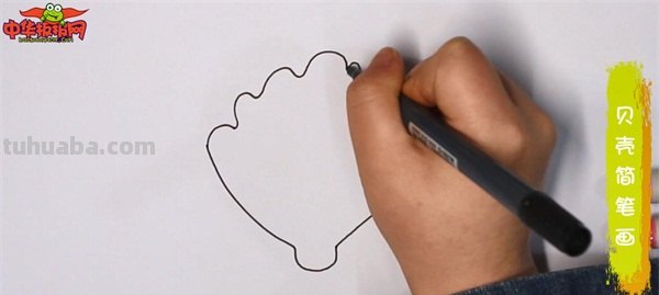 贝壳的简笔画怎么画 简笔画-怎么画贝壳？