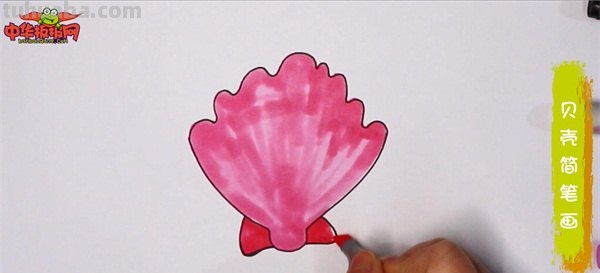 贝壳的简笔画怎么画 简笔画-怎么画贝壳？
