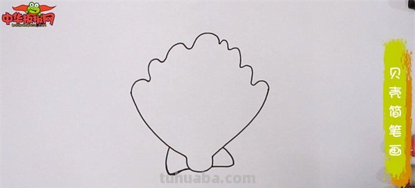 贝壳的简笔画怎么画 简笔画-怎么画贝壳？