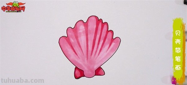 贝壳的简笔画怎么画 简笔画-怎么画贝壳？