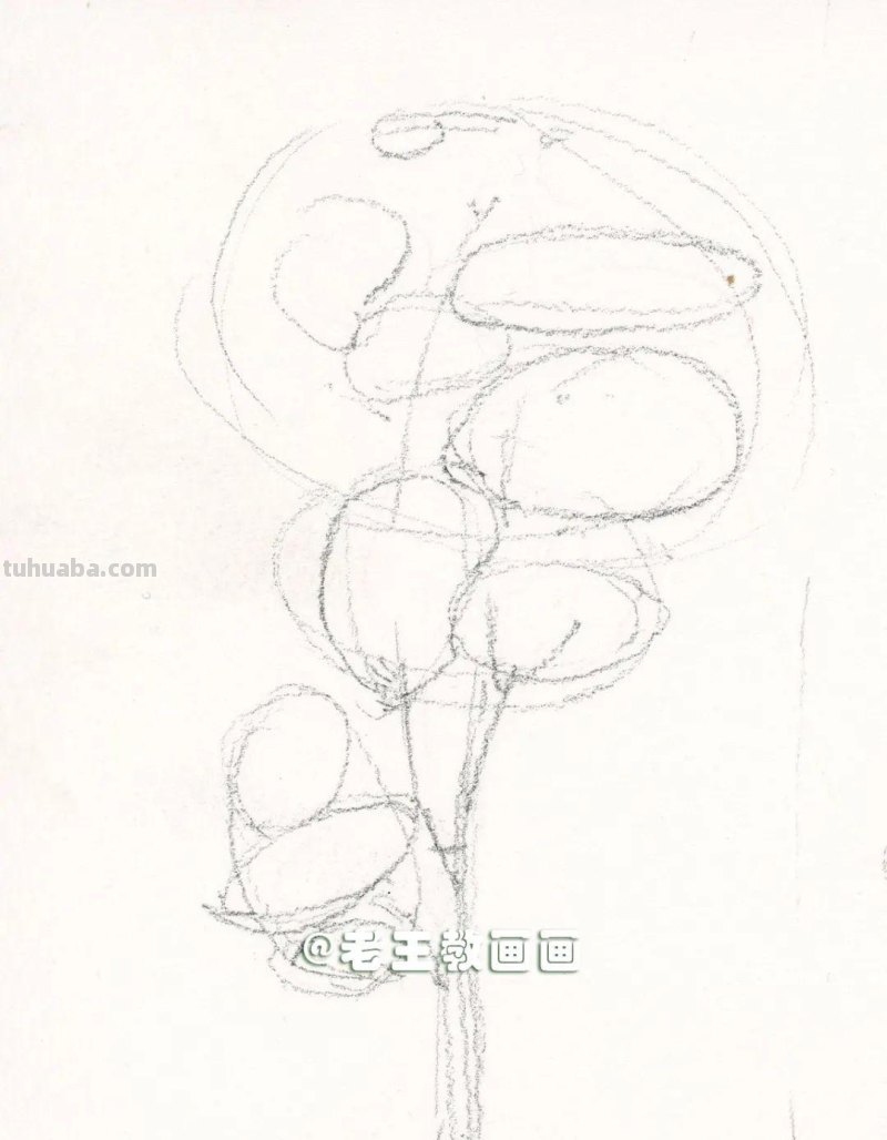水彩画也太有趣了，教你画树