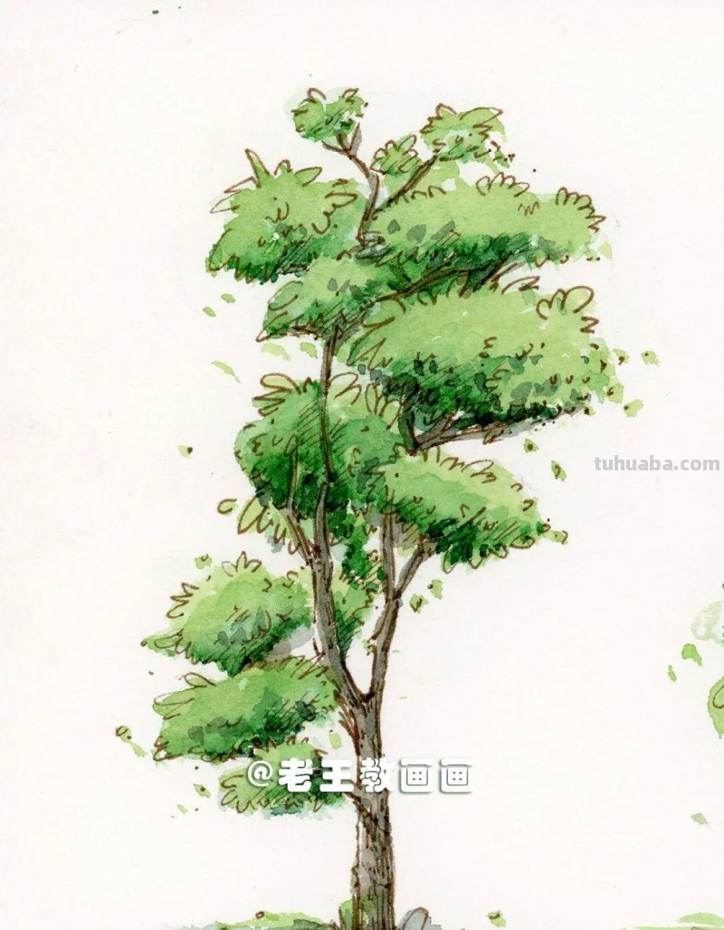 水彩画也太有趣了，教你画树