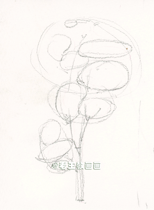 水彩画也太有趣了，教你画树