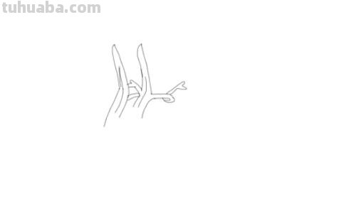麒麟怎么画图片简笔画 麒麟挂画怎么挂？