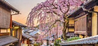 japan的意思 japan的意思