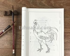 鸡速写临摹 关于古诗中的白描手法?