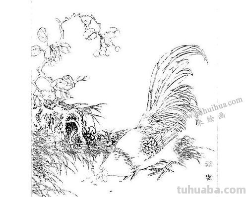 鸡速写临摹 关于古诗中的白描手法?