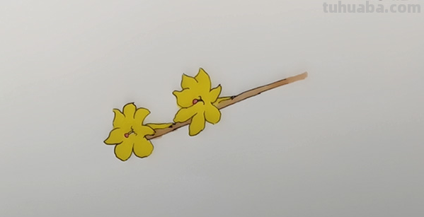幼儿怎么画花朵简笔画 幼儿园画迎春花怎样画？
