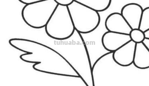 幼儿怎么画花朵简笔画 幼儿园画迎春花怎样画？