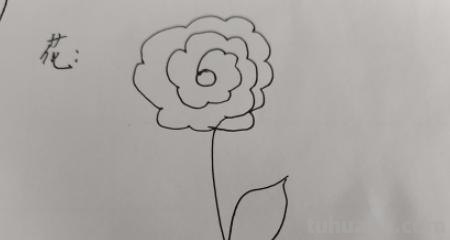 幼儿怎么画花朵简笔画 幼儿园画迎春花怎样画？