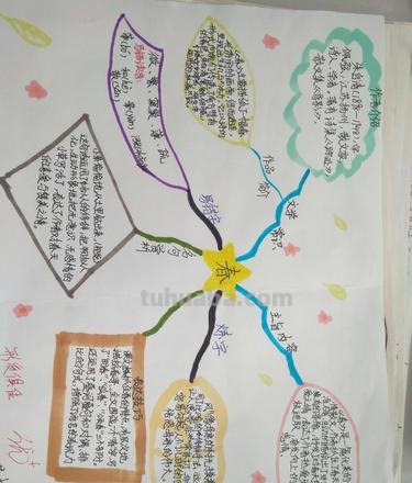 思维导图和框架图是什么 文字框架图怎么做？