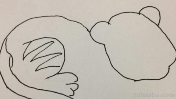 老虎狮子怎么画简笔画 一招学会画虎？