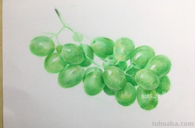 葡萄彩铅画亮面怎么画 绿葡萄亮面怎么调色？