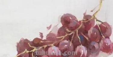 葡萄彩铅画亮面怎么画 绿葡萄亮面怎么调色？
