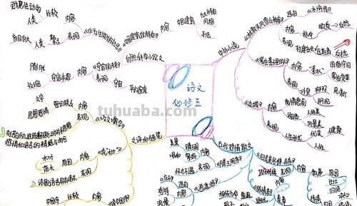 思维导图的中间图是什么 思维导图五要素?