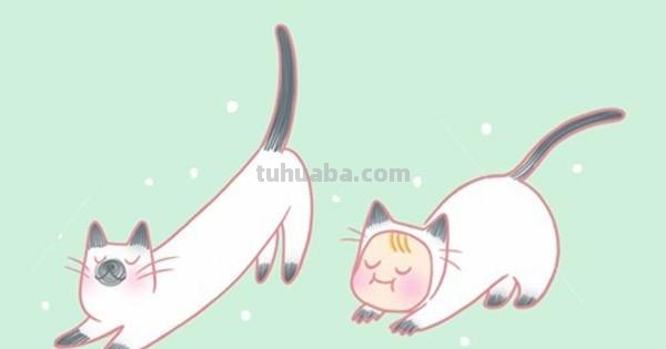 20种彩色猫狗简笔画资料，每一幅都很精彩！拿去临摹吧