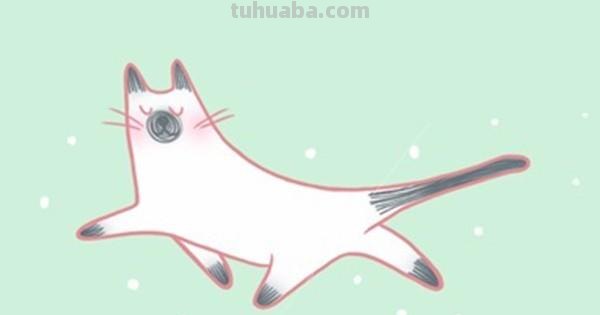 20种彩色猫狗简笔画资料，每一幅都很精彩！拿去临摹吧