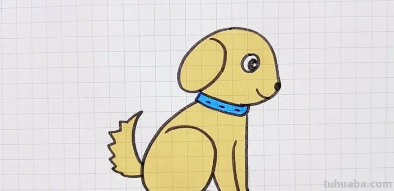 一步一步教你画小狗，适合零基础学画