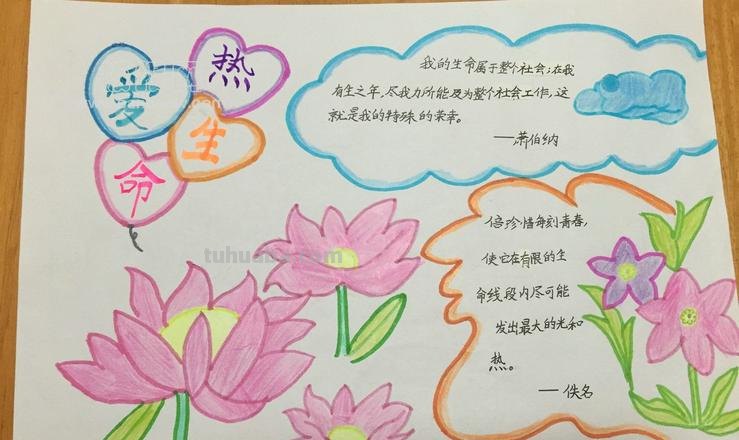 热爱生命的手抄报怎么 珍爱生命的手抄报内容?