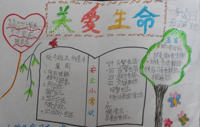 热爱生命的手抄报怎么 珍爱生命的手抄报内容?