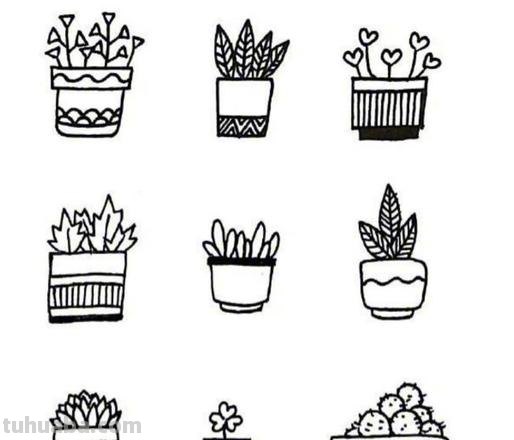 每天学一幅简笔画-32种小清新绿植简笔画图片素材大全