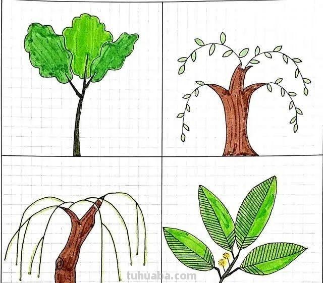每天学一幅简笔画-32种小清新绿植简笔画图片素材大全