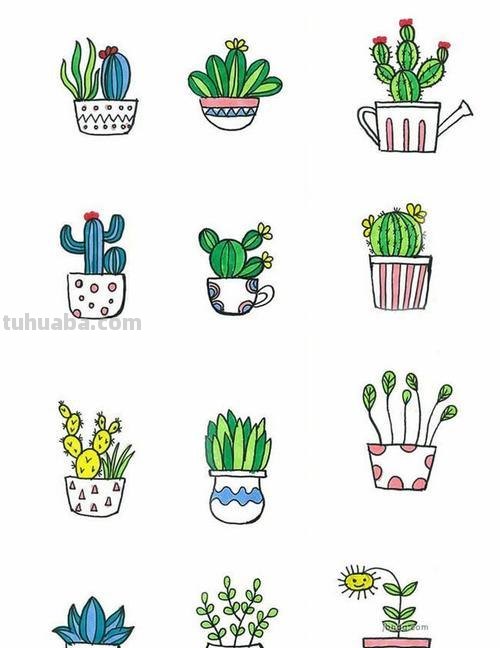 每天学一幅简笔画-32种小清新绿植简笔画图片素材大全