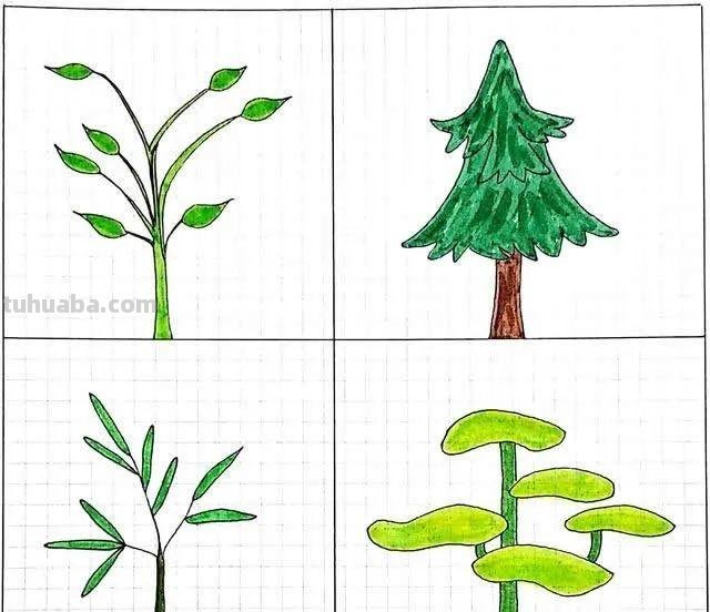 每天学一幅简笔画-32种小清新绿植简笔画图片素材大全