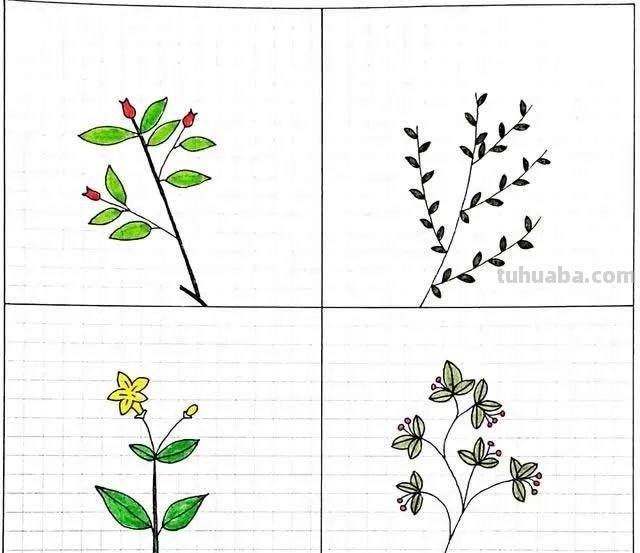 每天学一幅简笔画-32种小清新绿植简笔画图片素材大全