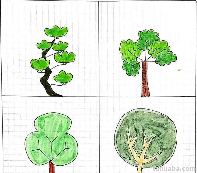 每天学一幅简笔画-32种小清新绿植简笔画图片素材大全