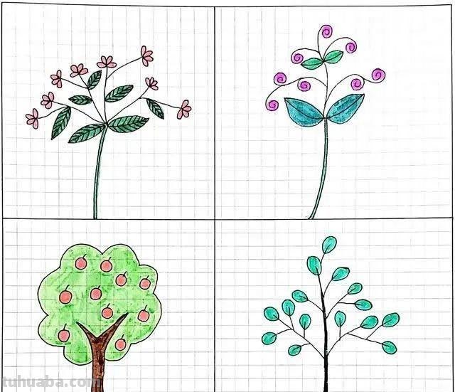 每天学一幅简笔画-32种小清新绿植简笔画图片素材大全